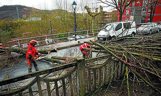 Los bomberos trocean el árbol que cayó en la calle Igantzi de Errenteria. 