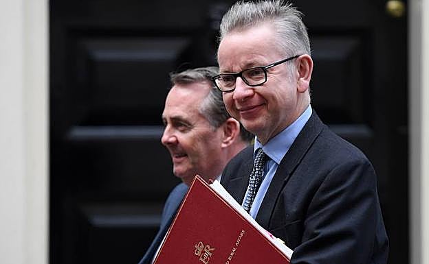 El ministro británico de Medioambiente, Michael Gove (dcha), gran abanderado del 'brexit', y el ministro británico de Comercio Internacional, Liam Fox, salen del 10 de Downing Street. 