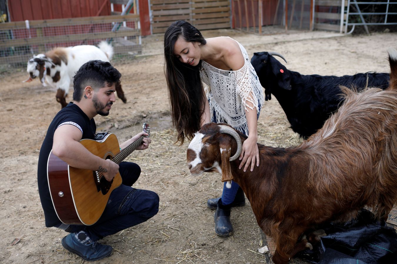 El cerdo 'Omri', la vaca 'Nir', la oveja 'Gary' u 'Omer', una cabra ciega, han encontrado una nueva oportunidad en el refugio Freedom Farm de Israel, que acoge a animales con alguna discapacidad