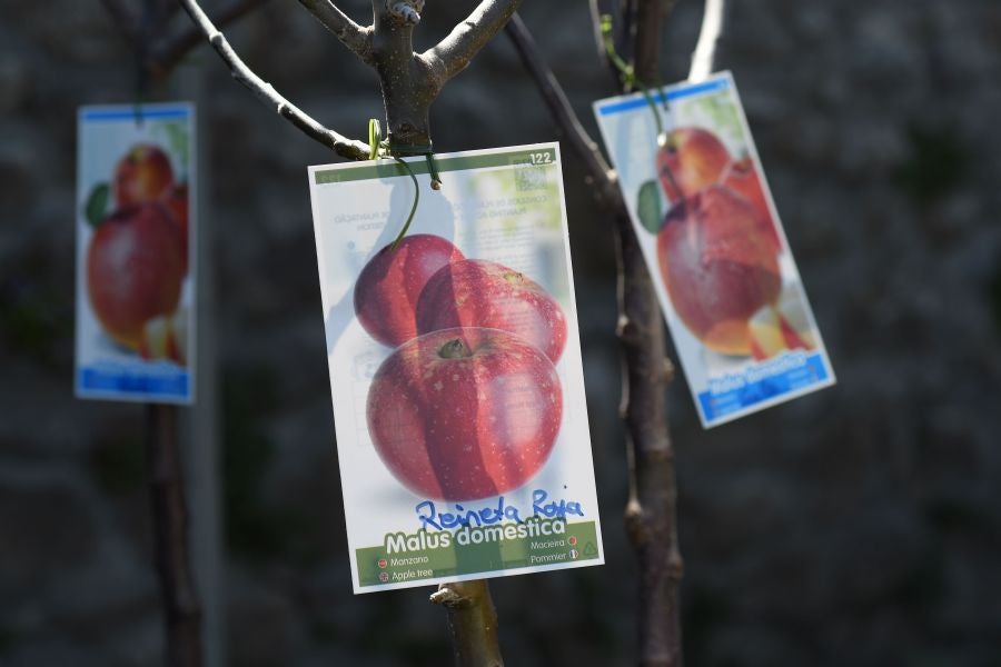 La localidad de Segura ha acogido este domingo su tradicional Feria de Flores y Plantas de Primavera
