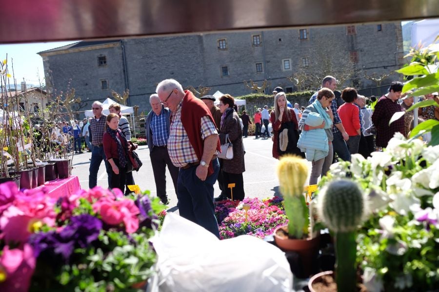 La localidad de Segura ha acogido este domingo su tradicional Feria de Flores y Plantas de Primavera