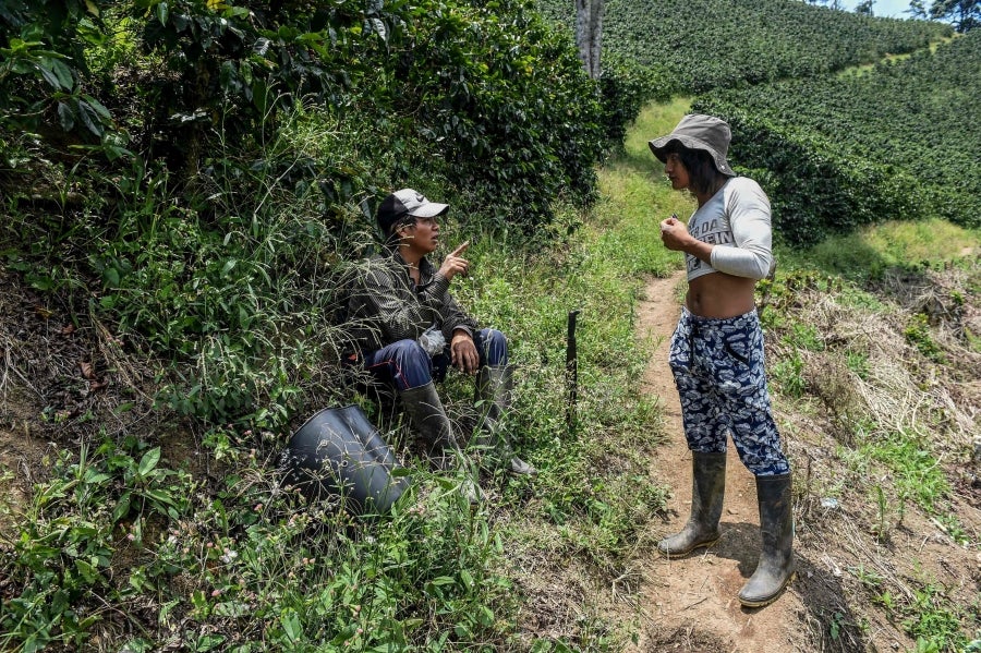 La colombiana Roxana Panchi Gutiérrez, una joven transexual indígena de 24 años, se reúne con sus dos amigas de toda la vida, en el pueblo indígena Cristiania, departamento de Antioquia, para crear accesorios con cuentas. Las mismas cuentas que iluminan las últimas creaciones de la diseñadora colombiana Laura Laurens, cuyos diseños viajan desde Bogotá a Londres, París y Nueva York.