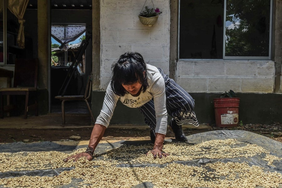 La colombiana Roxana Panchi Gutiérrez, una joven transexual indígena de 24 años, se reúne con sus dos amigas de toda la vida, en el pueblo indígena Cristiania, departamento de Antioquia, para crear accesorios con cuentas. Las mismas cuentas que iluminan las últimas creaciones de la diseñadora colombiana Laura Laurens, cuyos diseños viajan desde Bogotá a Londres, París y Nueva York.