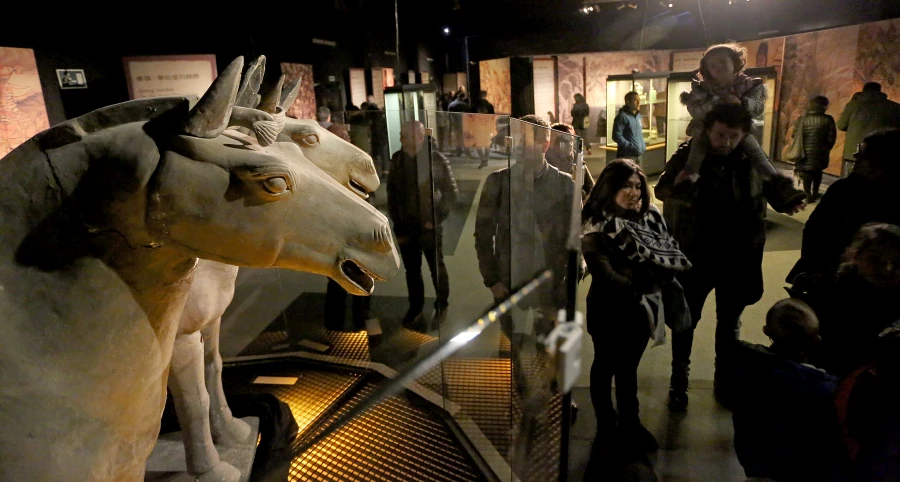 La exposición 'Los Soldados de Terracota' está superando con creces la asistencia prevista. Decenas de familias se han animado a visitara estos guerreros.