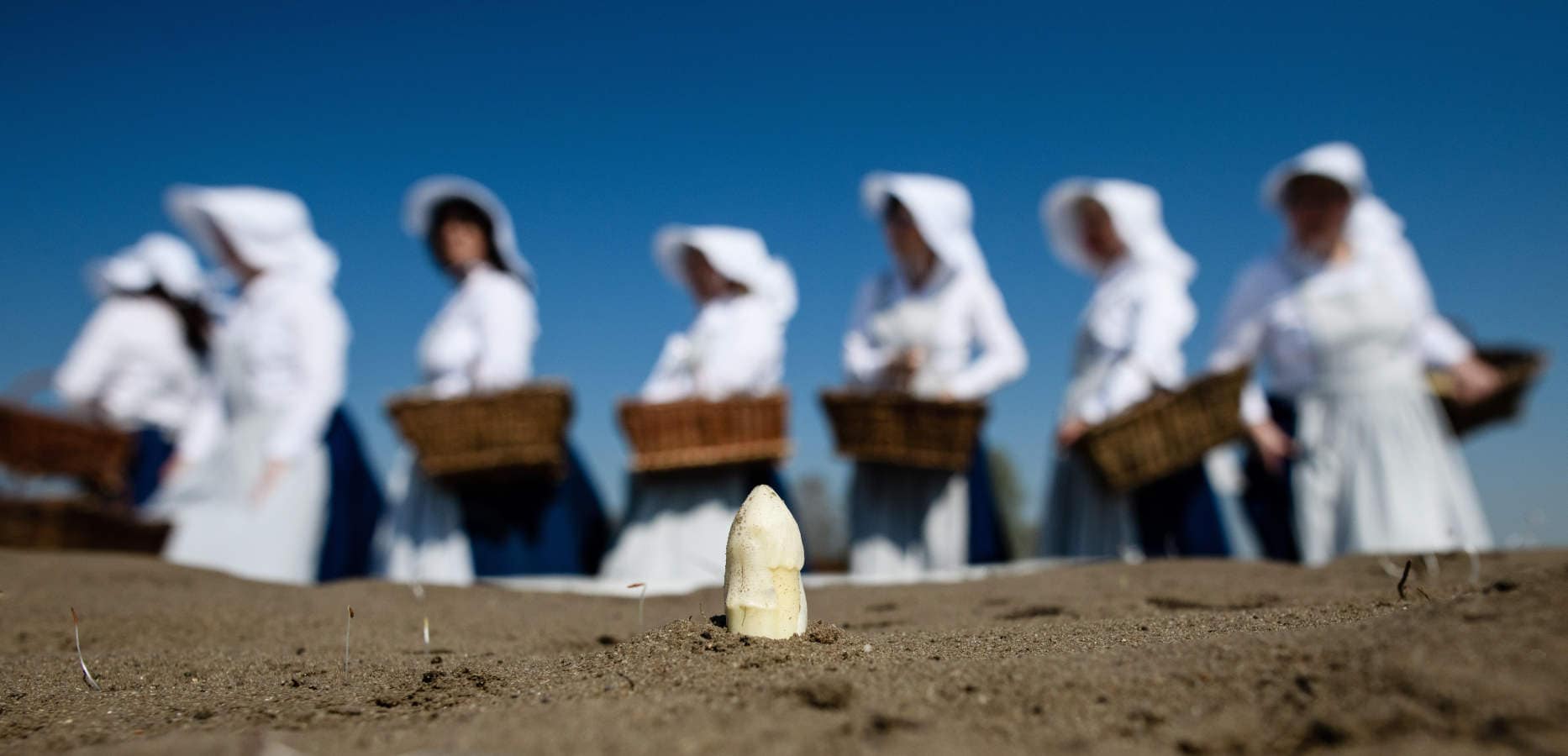 Un grupo de mujeres vestidas con trajes históricos que se dirigen a una sesión de fotos con motivo del inicio de la temporada de cosecha de espárragos, en un campo en Beelitz. En las imágenes también se ven a los trabajadores del campo