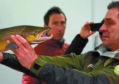 Imagen secundaria 1 - Los salmones desvelan sus secretos