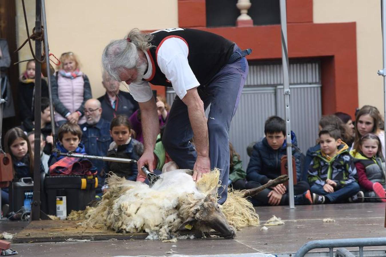 Más de 2.000 ovejas cruza este miércoles por la mañana el casco histórico de Ordizia. Serán protagonistas, como cada miércoles de Pascua, del Artzain Eguna o Día del Pastor en la localidad goierriarra.