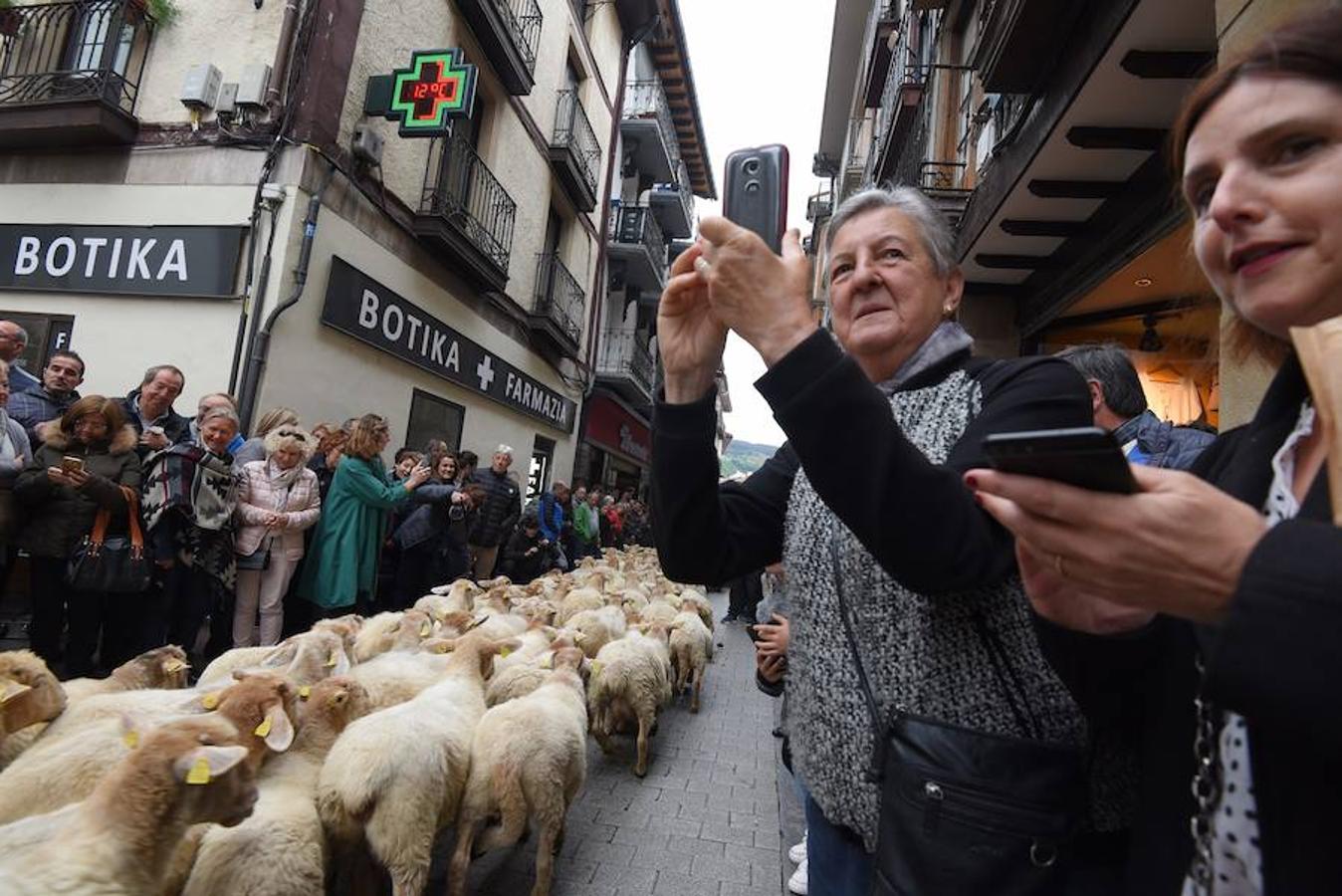 Más de 2.000 ovejas cruza este miércoles por la mañana el casco histórico de Ordizia. Serán protagonistas, como cada miércoles de Pascua, del Artzain Eguna o Día del Pastor en la localidad goierriarra.