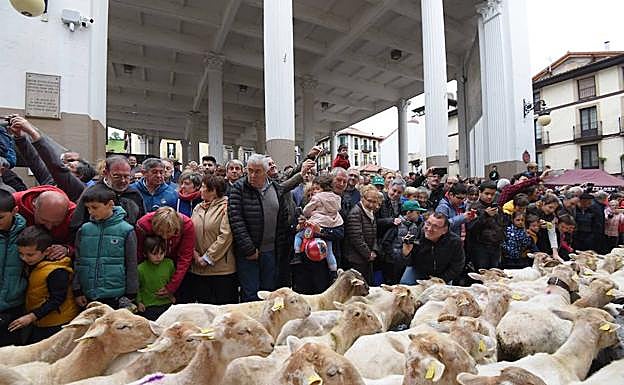 Imagen principal - Ordizia, meca del queso Idiazabal