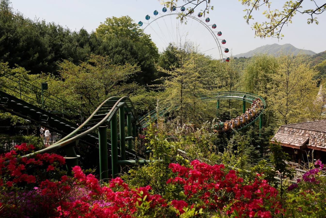 Monjes novicios surcoreanos disfrutan de su visita a Everland, el parque de diversiones más grande de Corea del Sur. Los niños están experimentando la vida monástica en las tres semanas previas al próximo cumpleaños de Buda el 12 de mayo.