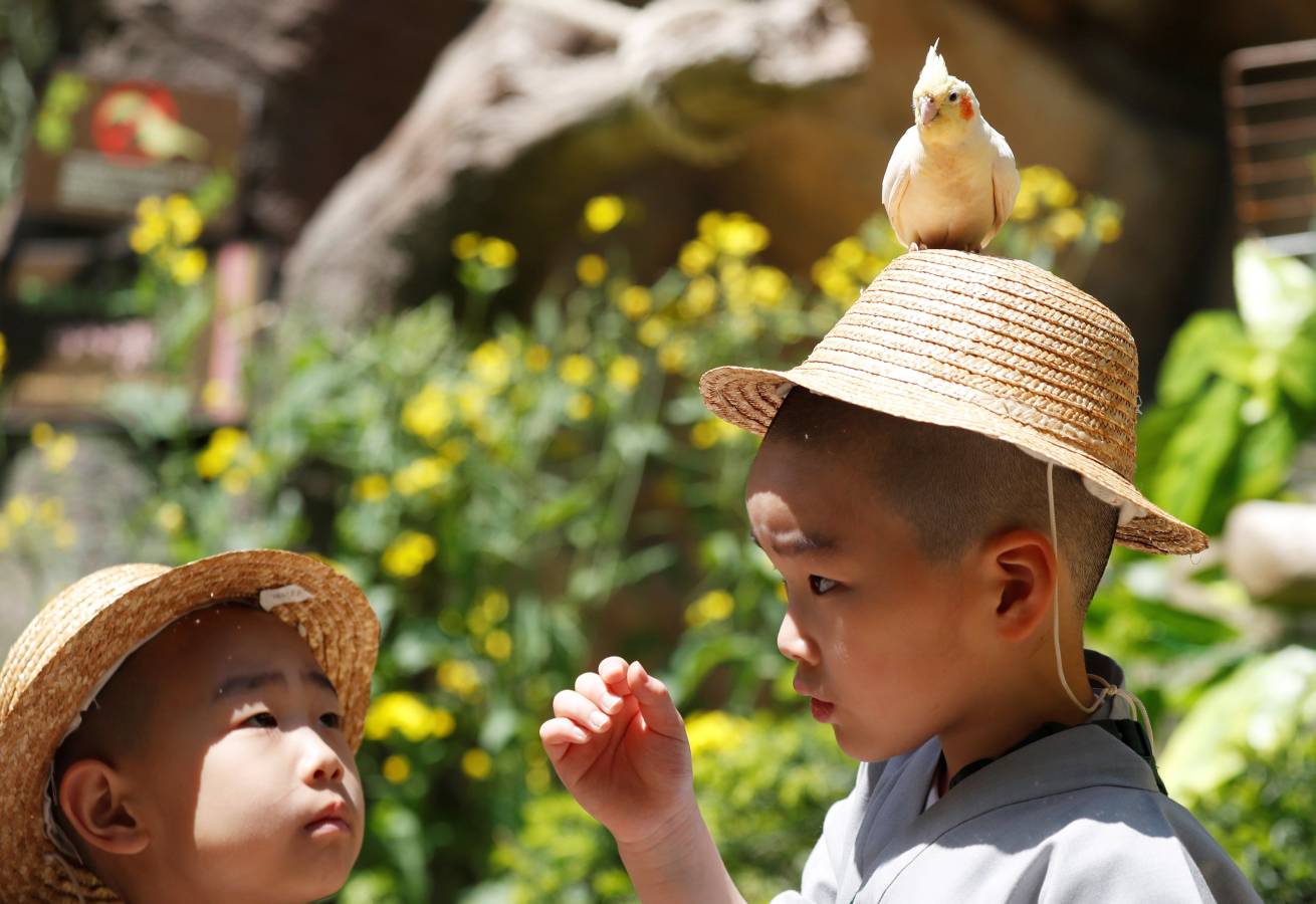 Monjes novicios surcoreanos disfrutan de su visita a Everland, el parque de diversiones más grande de Corea del Sur. Los niños están experimentando la vida monástica en las tres semanas previas al próximo cumpleaños de Buda el 12 de mayo.
