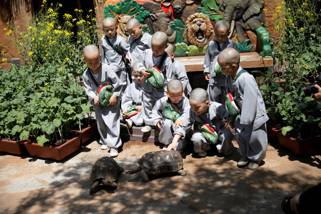 Monjes novicios surcoreanos disfrutan de su visita a Everland, el parque de diversiones más grande de Corea del Sur. Los niños están experimentando la vida monástica en las tres semanas previas al próximo cumpleaños de Buda el 12 de mayo.