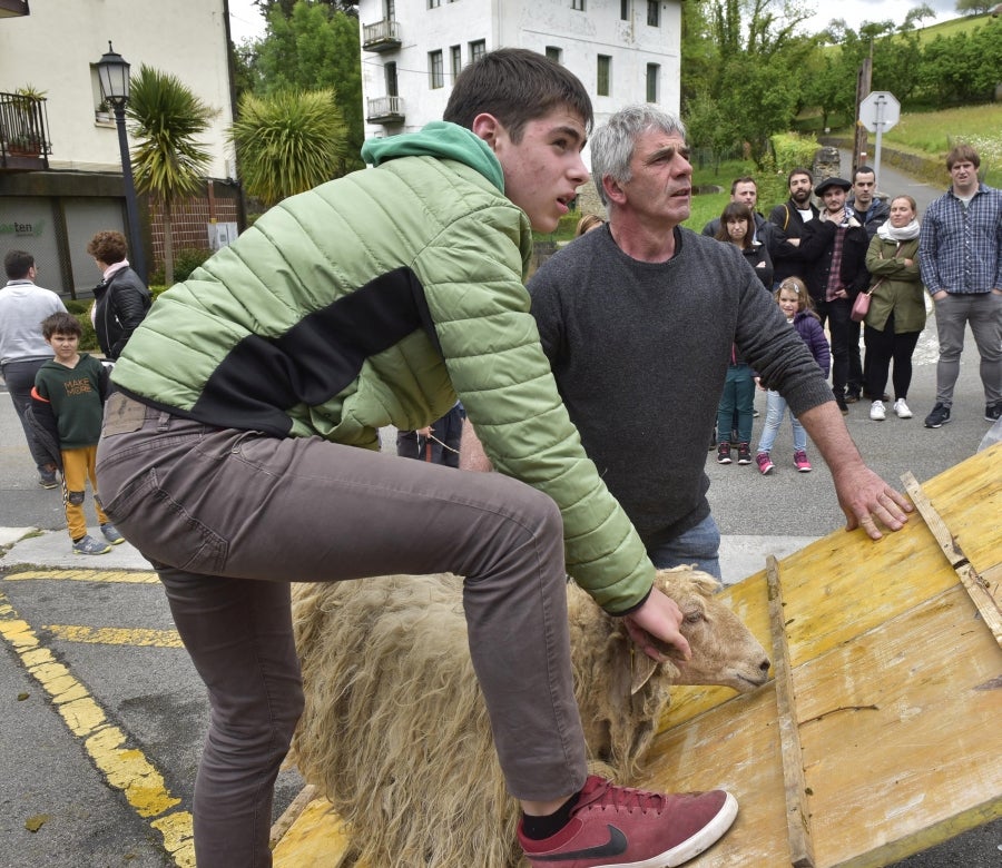 Comienza la feria del queso vasco de Idiazabal. Un total de 29 fabricantes de queso de Euskadi, Iparralde y Navarra han acercado sus quesos a la plaza mayor de Idiazabal, escenario de gran parte de los actos organizados con motivo de esta feria. 