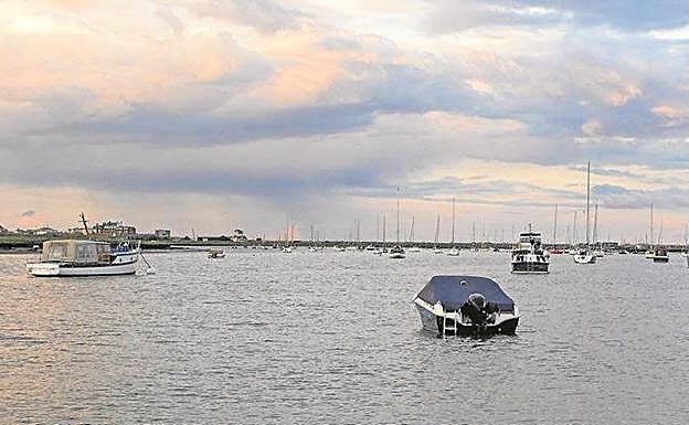 En agua dulce. Las muestras se tomaron en cinco ríos de tradición camaronera, entre ellos el Alde, al este de Inglaterra.