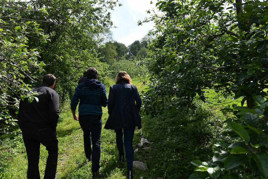 Sagardotegis y txakolindegis del territorio participan junto al Departamento de Ornitología de Aranzadi en un proyecto piloto para controlar las plagas de forma biológica 