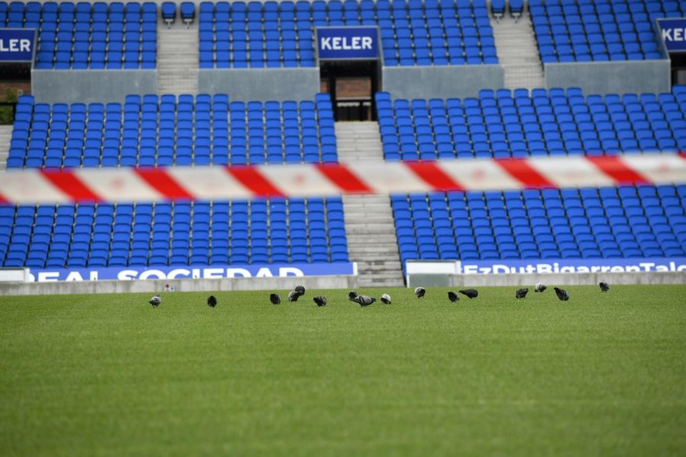 La futura grada familiar va cogiendo forma y los operarios comienzan la construcción del anillo superior de la grada Norte 