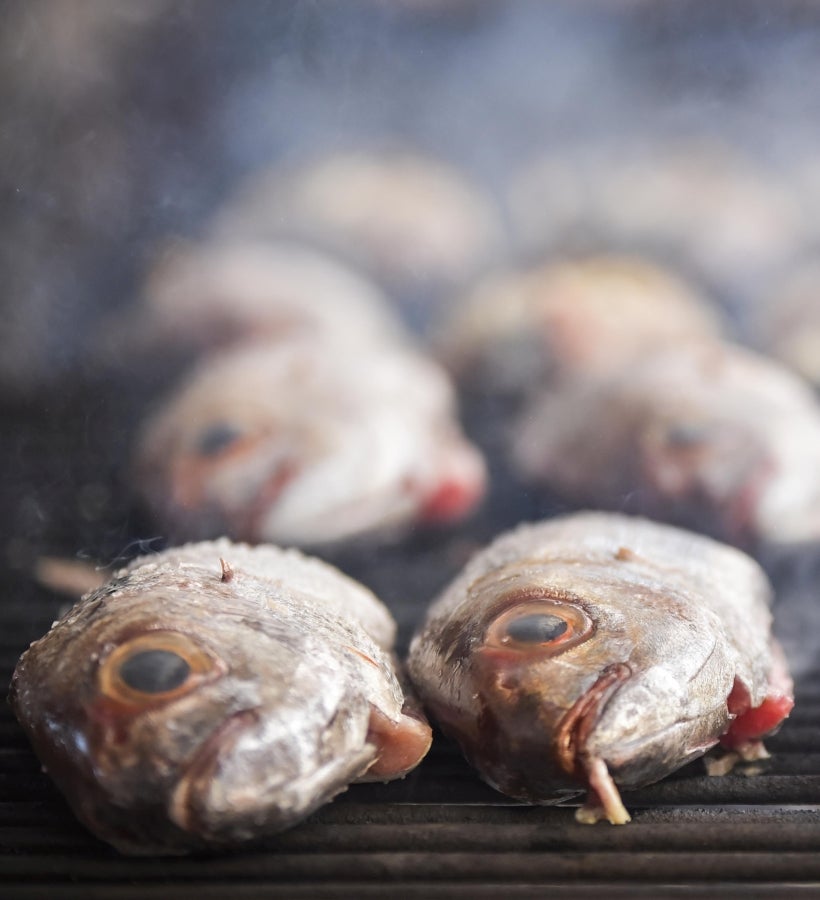 La Feria de Tolosa ha vuelto a la localidad con la SIdra y el Besugo como protagonistas. Así decenas de comensales han podido disfrutar del mejor menú con un tiempo inmejorable.