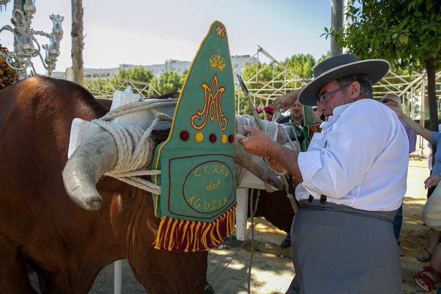 Miles de peregrinos han iniciado la romería del Roció. Este año son 124 las hermandades filiales que hará el camino hasta la aldea, tres más que el pasado año, La romería recorre los caminos del Parque Nacional de Doñana hasta llegar a la fiesta del Rocío donde los rocieros esperarán a que saquen a la 'Blanca Paloma', como se conoce coloquialmente a la Virgen del Rocío. La noche del domingo se celebra una gran fiesta rociera y se realiza el rezo del rosario hasta la llegada del alba cuando se produce el esperado 'salto de la reja' y comienza la procesión de la 'Blanca Paloma'. Este año se celebra el 8 de junio el Centenario de la Coronación Canónica de la Virgen del Rocío.