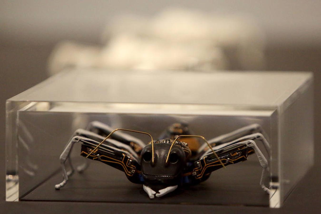 El Museo San Telmo ha presentado este viernes la exposición 'Hello, robot, el diseño entre el humano y la máquina', una muestra de Vitra Design Museum, MAK Vienna y Design Museum Gent, y comisariada por Amelie Klein, examina detalladamente el boom actual de la robótica.