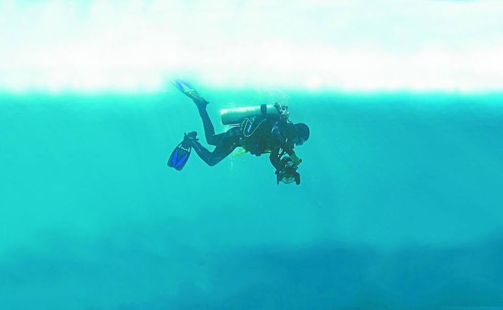 Vida y misterio bajo la costa guipuzcoana