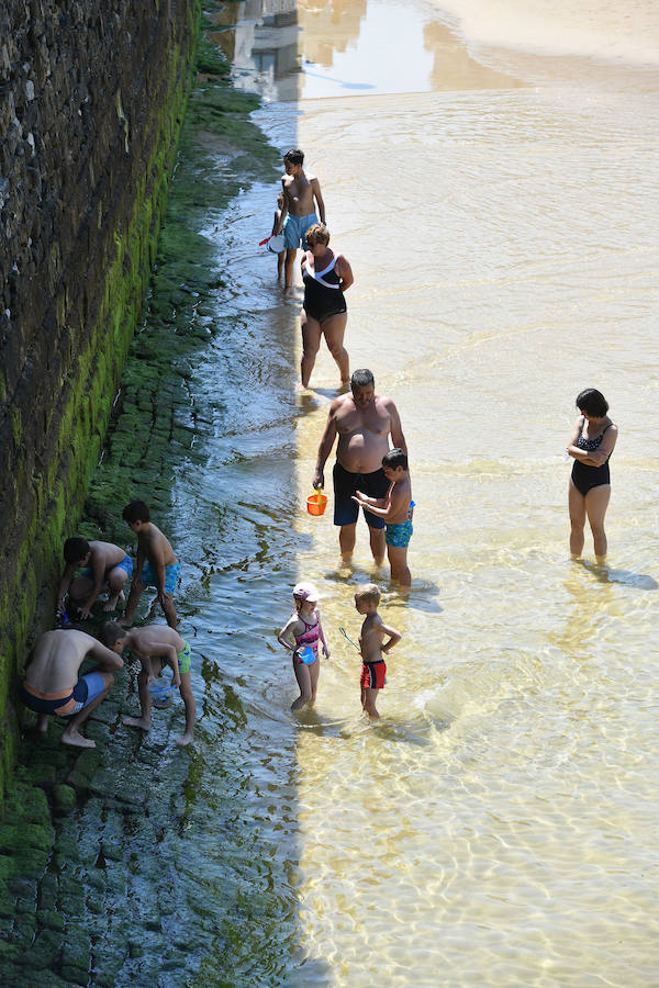 Fotos: La ola de calor en Gipuzkoa, en imáganes