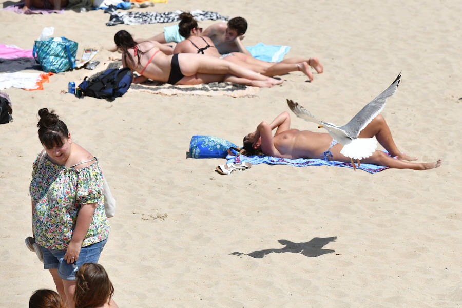 Fotos: La ola de calor en Gipuzkoa, en imáganes
