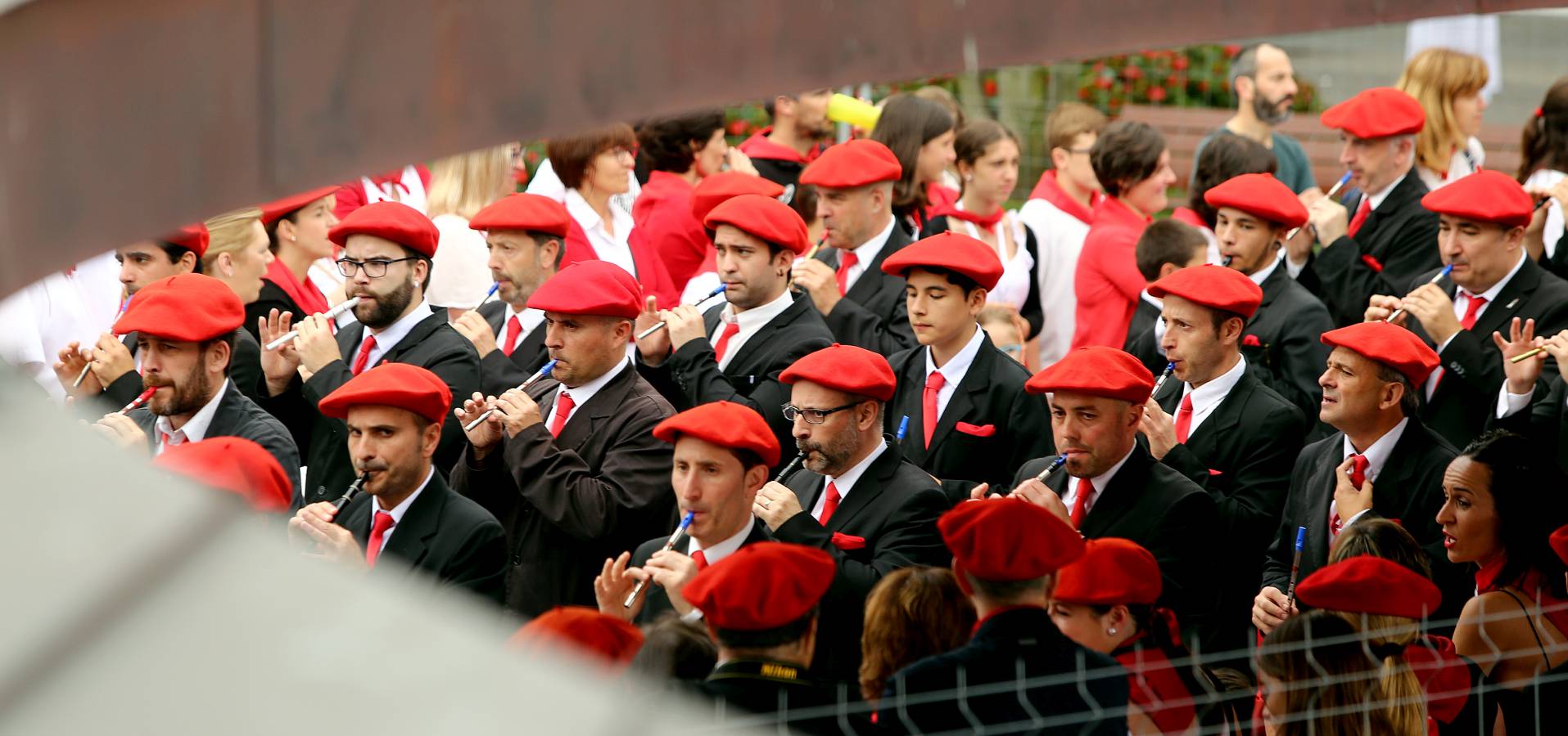 Fotos: El Alarde público, en imágenes