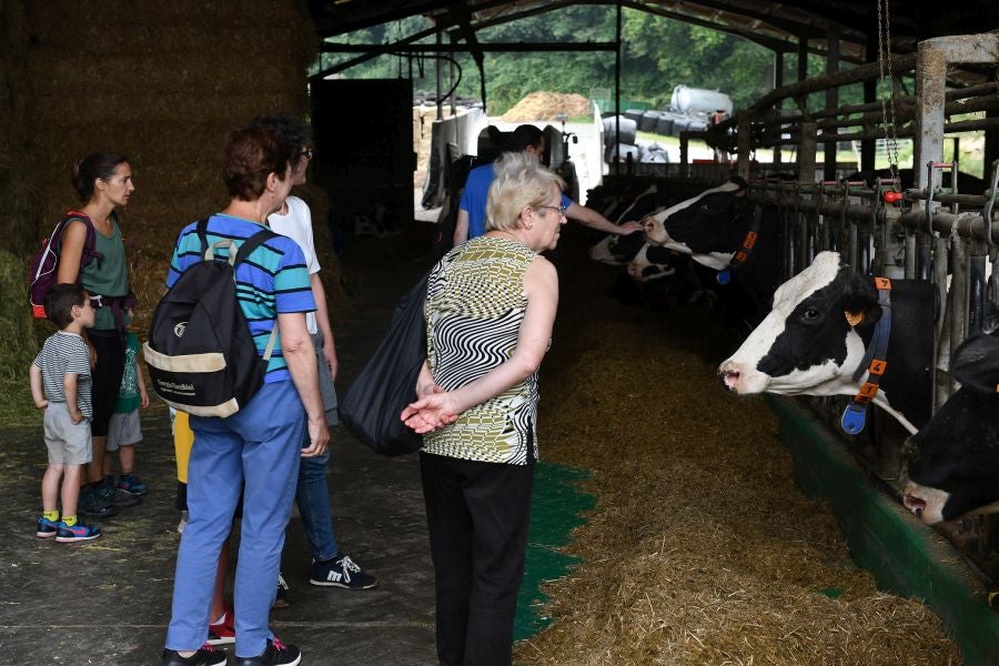 Fotos: El casería, la nueva clase durante dos días