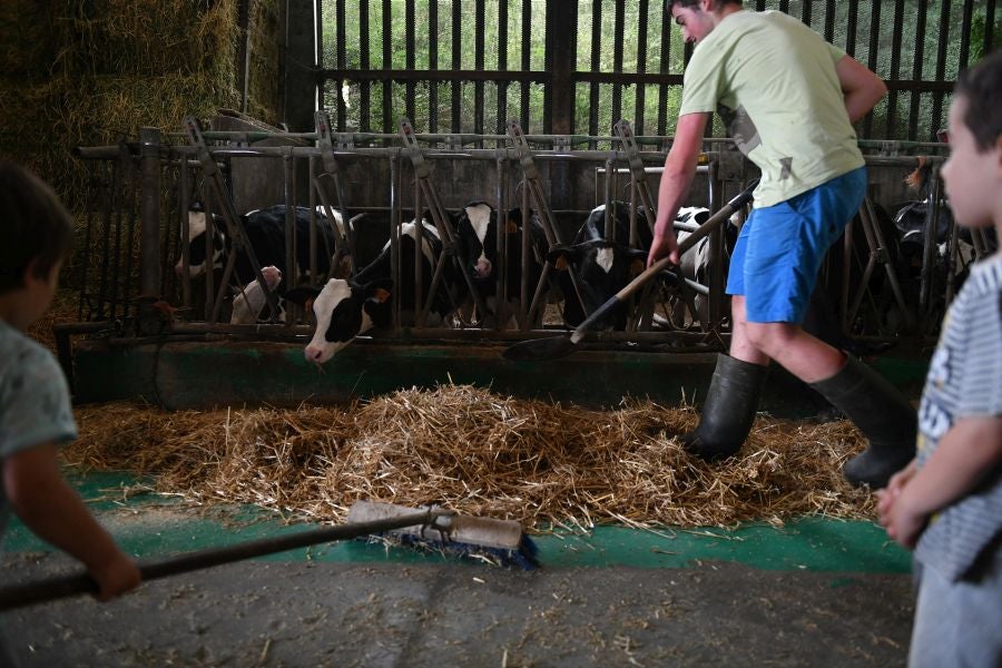 Fotos: El casería, la nueva clase durante dos días