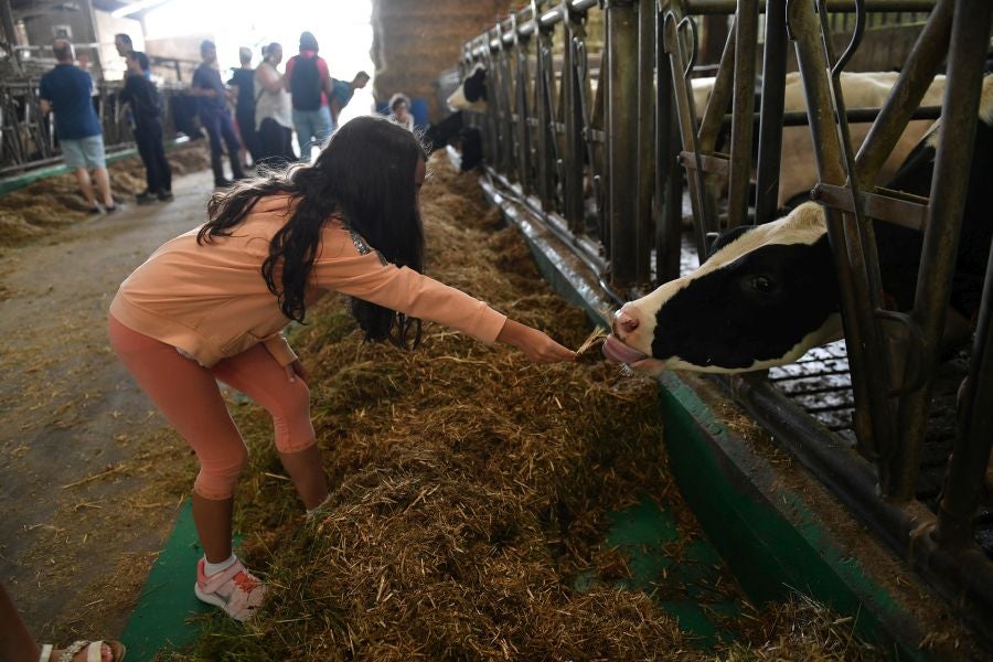 Fotos: El casería, la nueva clase durante dos días