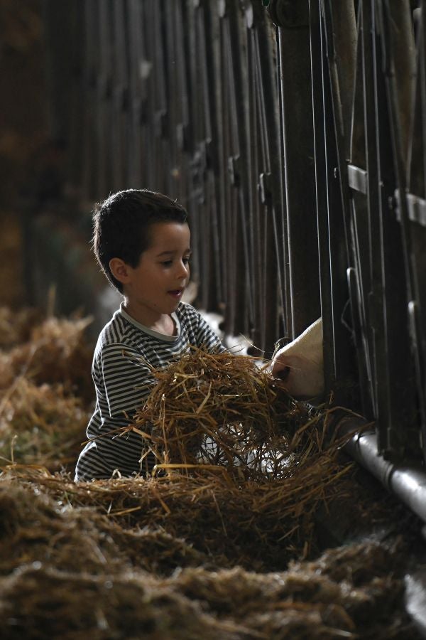 Fotos: El casería, la nueva clase durante dos días