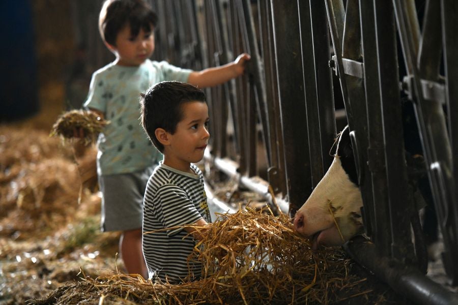 Fotos: El casería, la nueva clase durante dos días