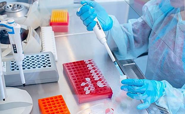 ADN, información genética