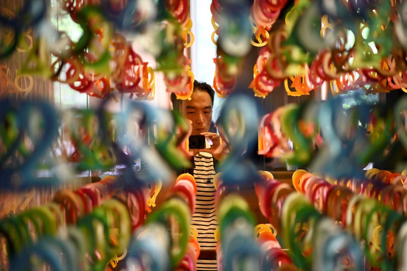 Fotos: Una explosión de color