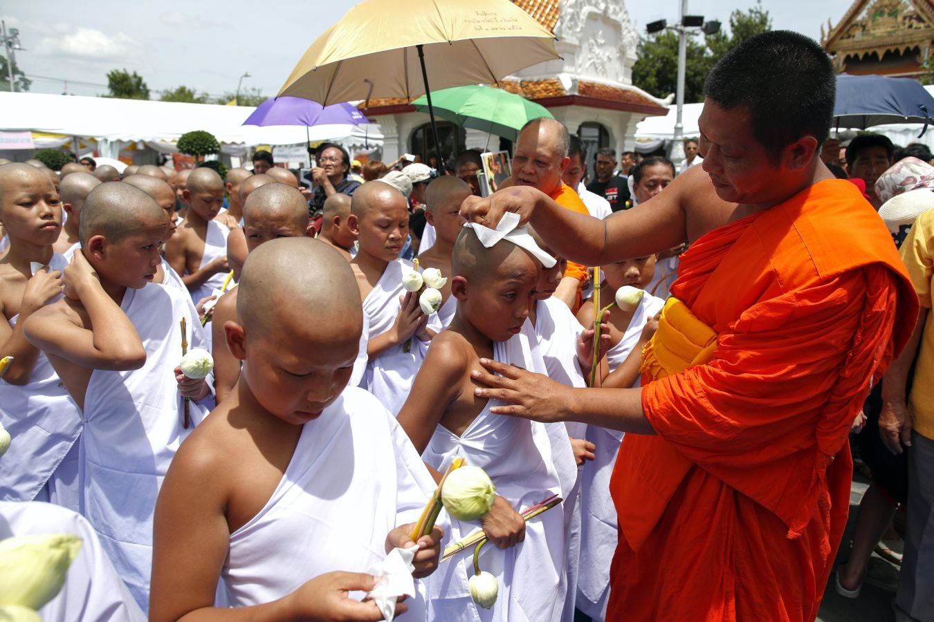 Fotos: Los nuevos monjes budistas
