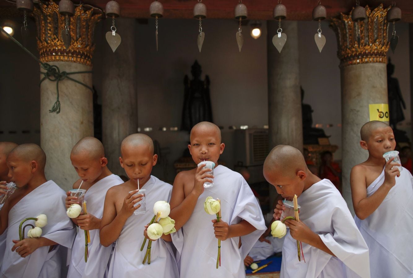 Fotos: Los nuevos monjes budistas