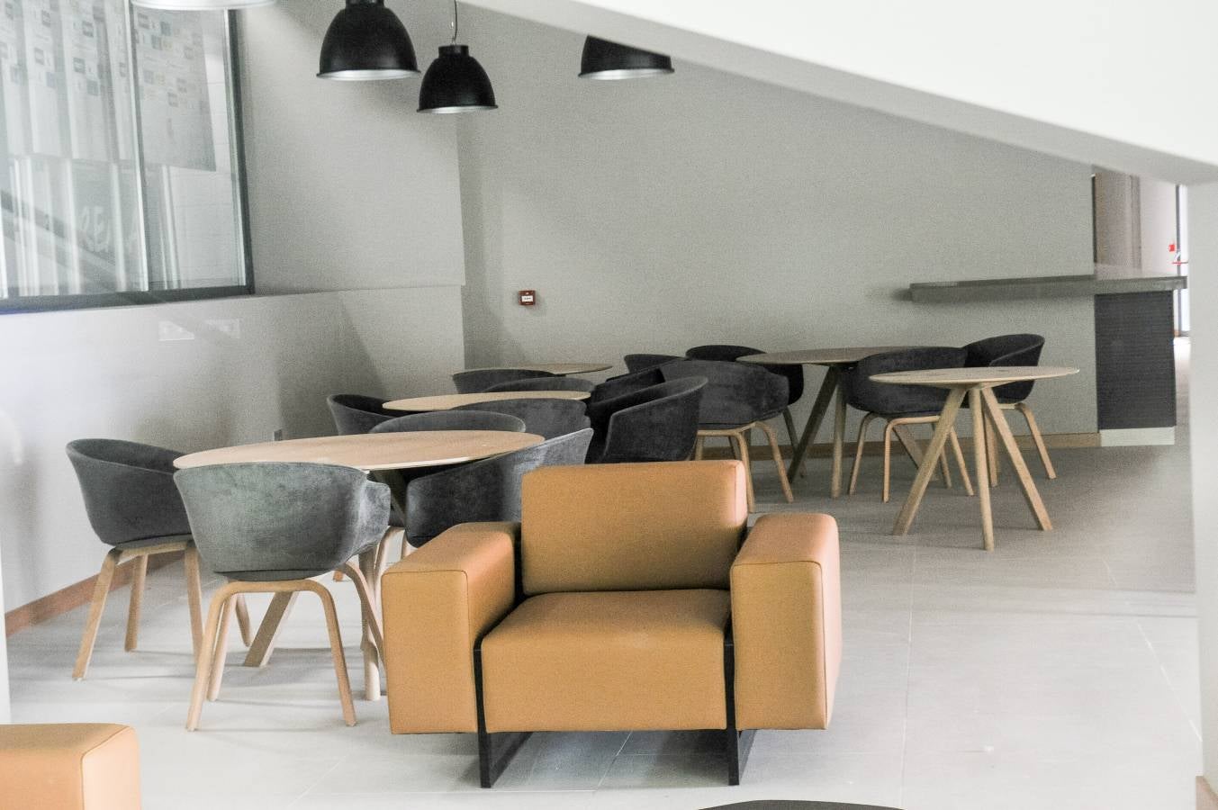 El campo de la Real Sociedad sigue tomando forma.