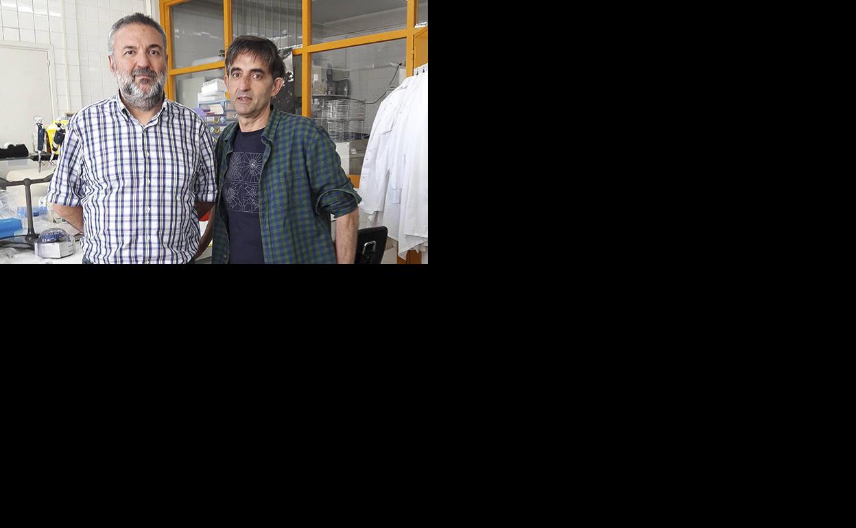 El consumo de drogas favorece la muerte súbita por fallo cardiaco en jóvenes