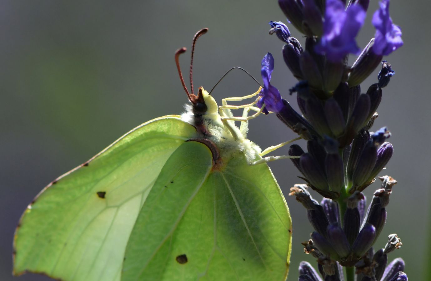 Fotos: La Naturaleza, de cerca