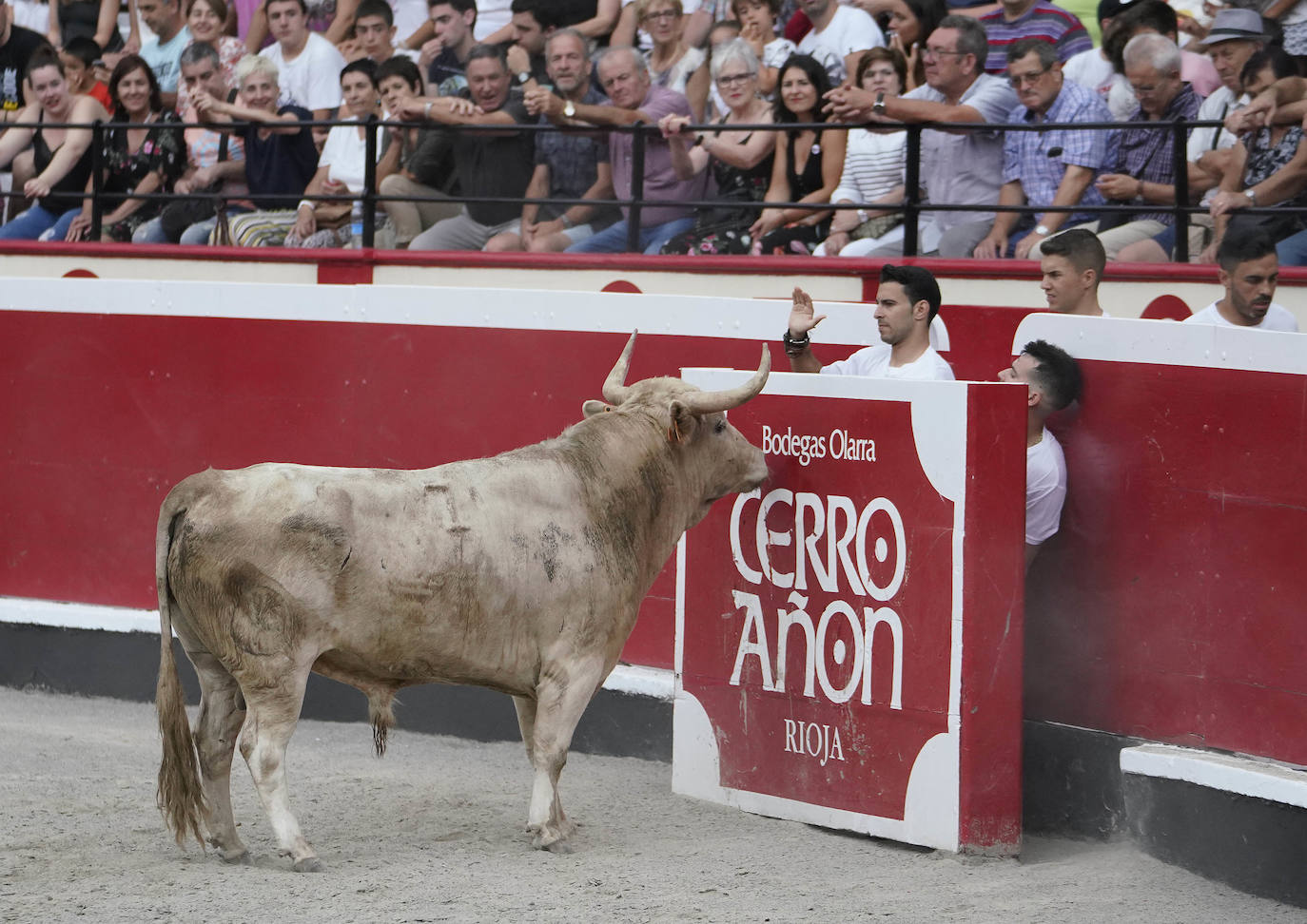 Fotos: ‘Use’ y ‘Guindi’ se reparten la txapela