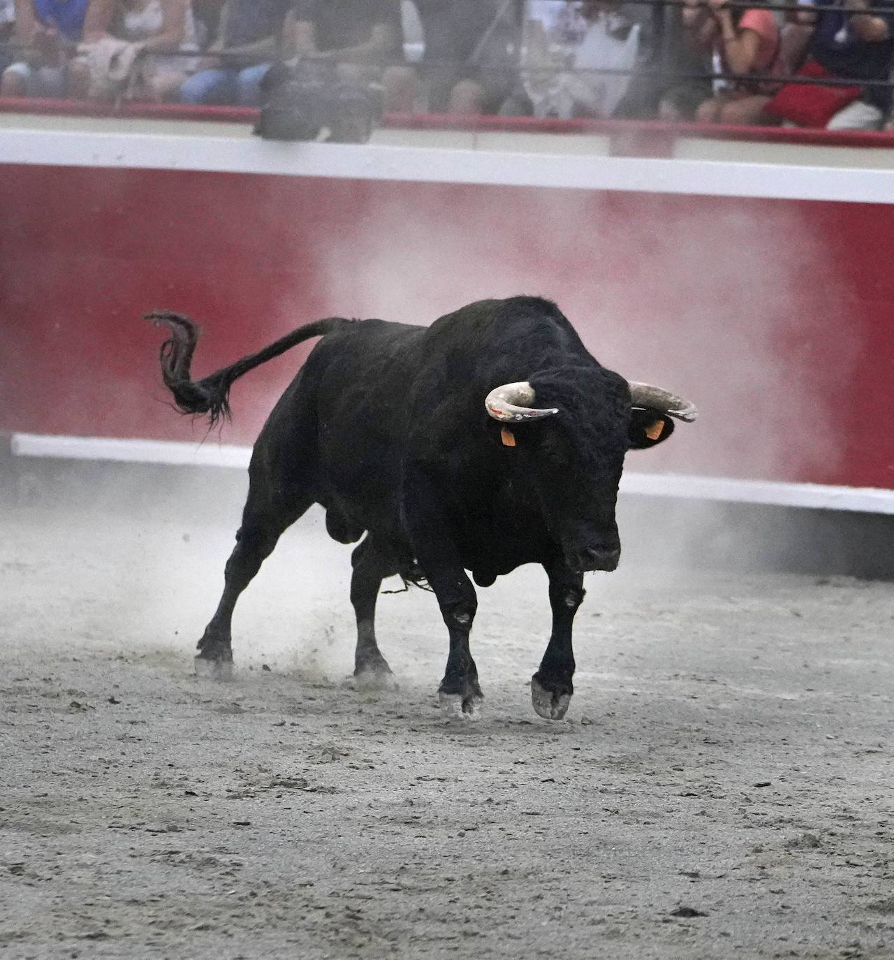 Fotos: ‘Use’ y ‘Guindi’ se reparten la txapela