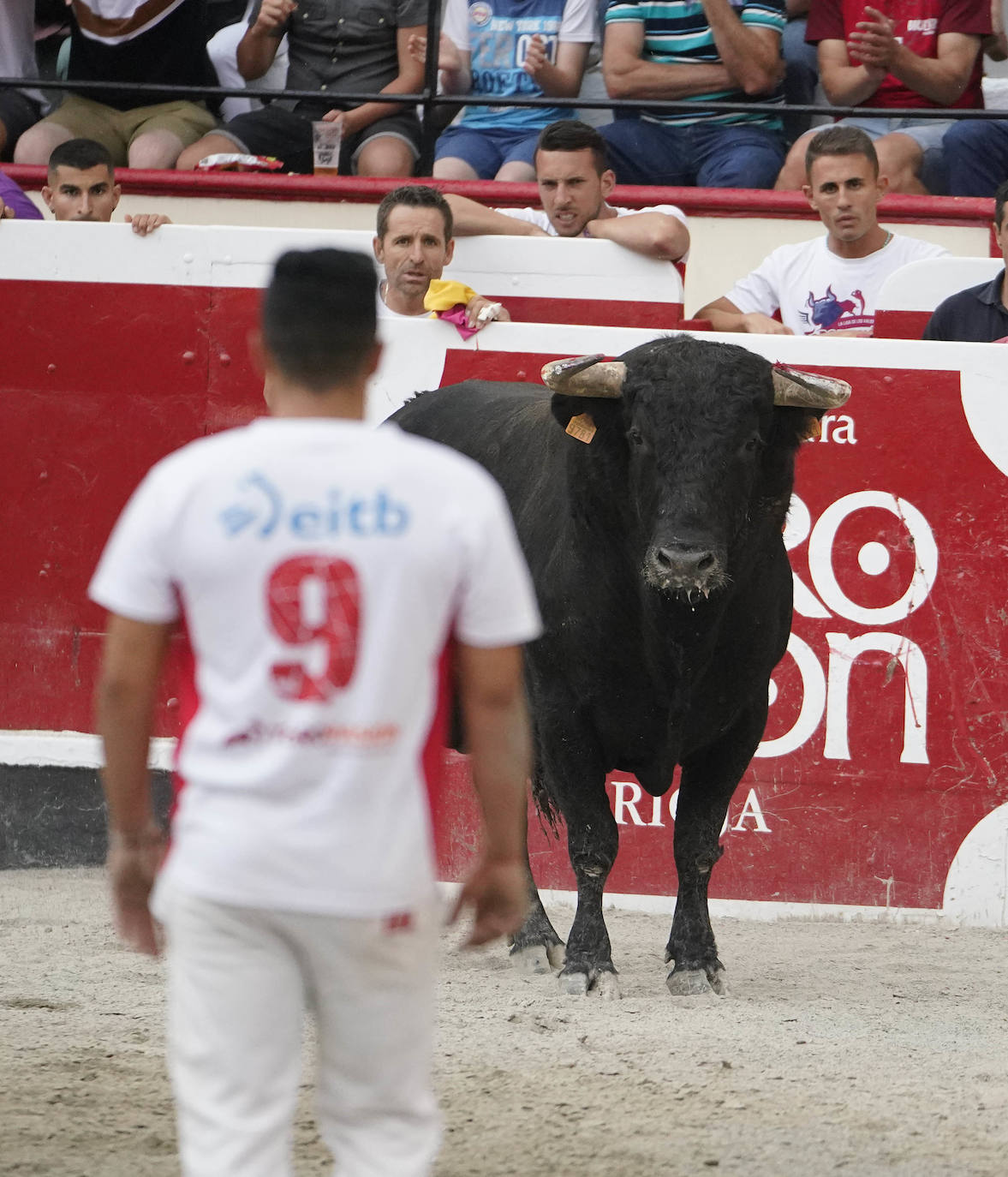 Fotos: ‘Use’ y ‘Guindi’ se reparten la txapela