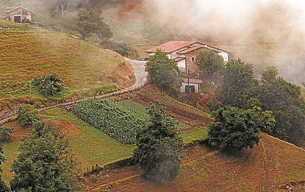 Escolares eibarreses han conocido a través de un programa municipal el trabajo que se desarrolla en el ámbito rural eibarrés.