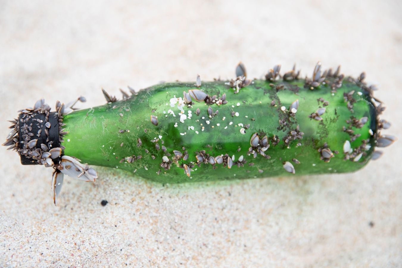 Fotos: Basura tropical