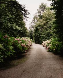 Imagen secundaria 2 - Imágenes del interior de la finca. 
