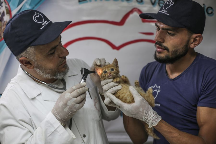 Fotos: El hombre gato de Alepo