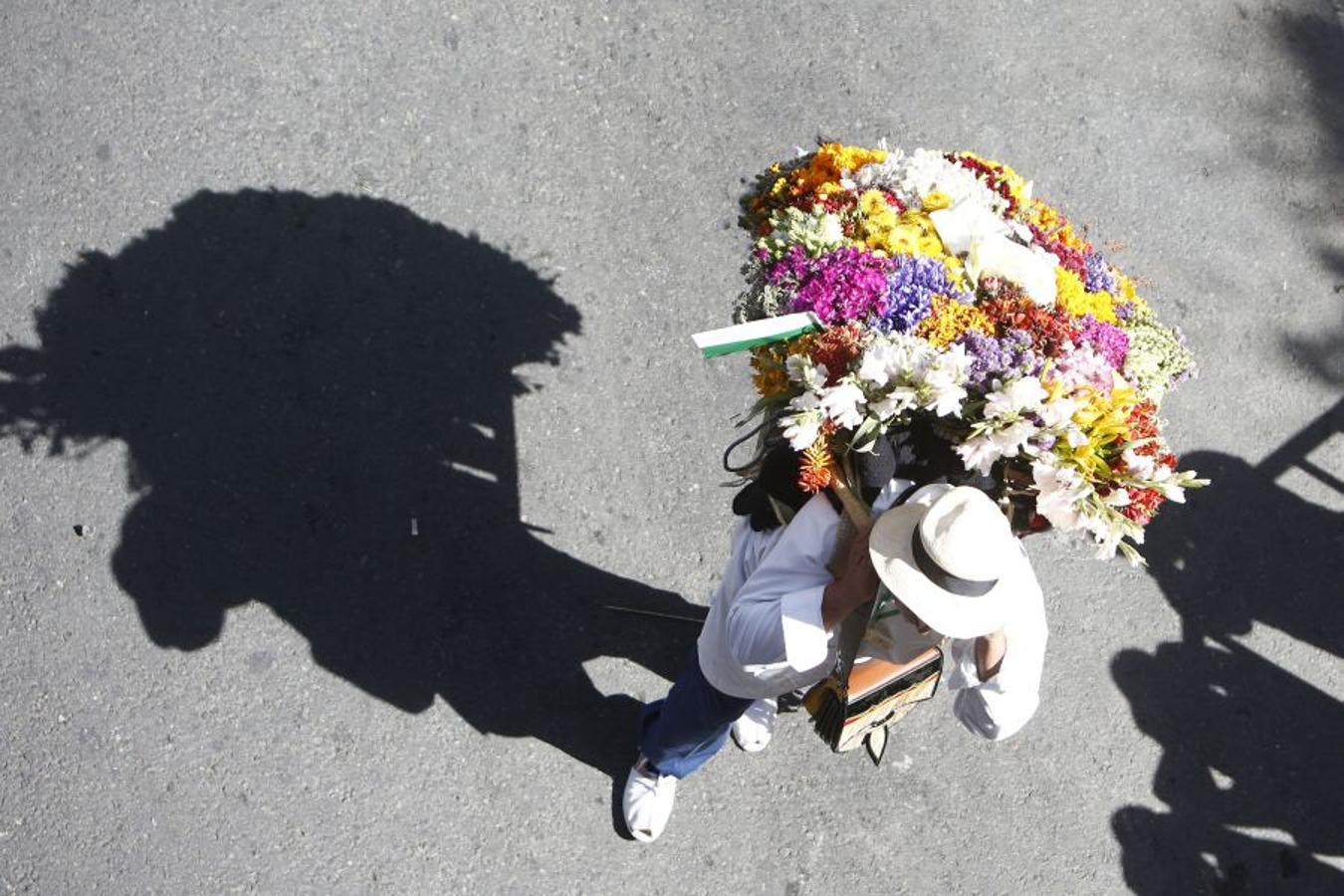 Fotos: Medellín se viste de jardín