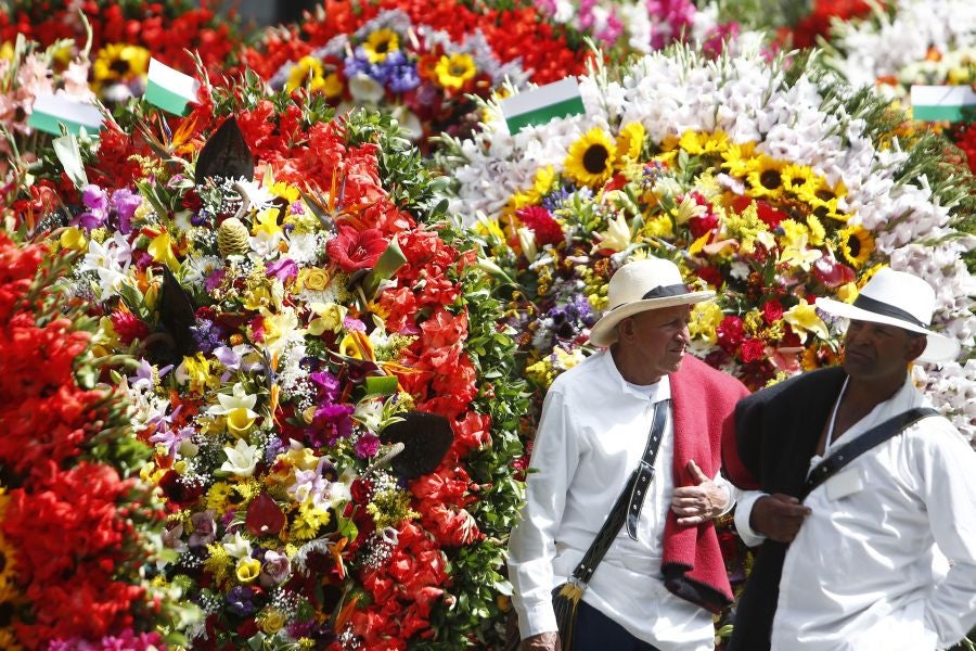 Fotos: Medellín se viste de jardín