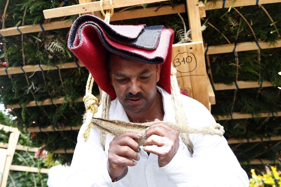 Fotos: Medellín se viste de jardín