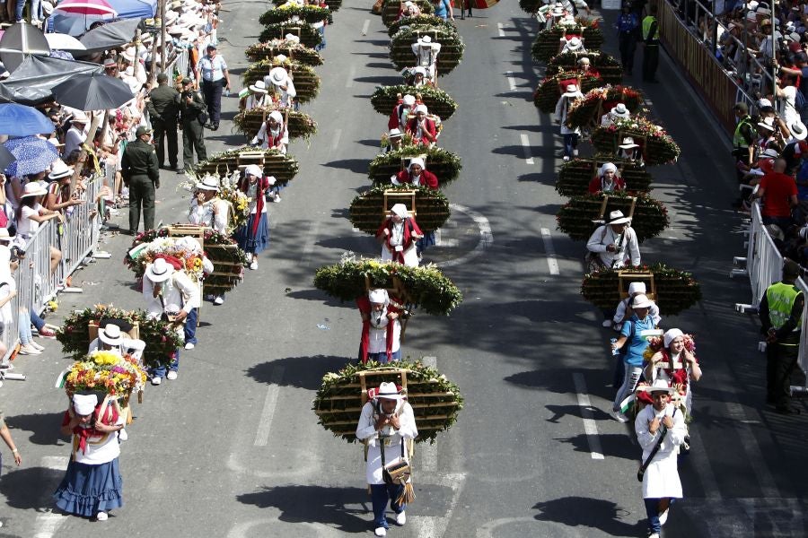 Fotos: Medellín se viste de jardín